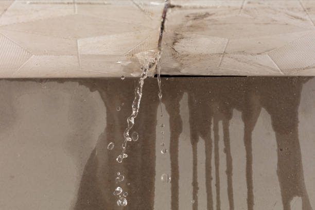 Professional Water Damage Inspection technician working in Dearborn Heights, MI